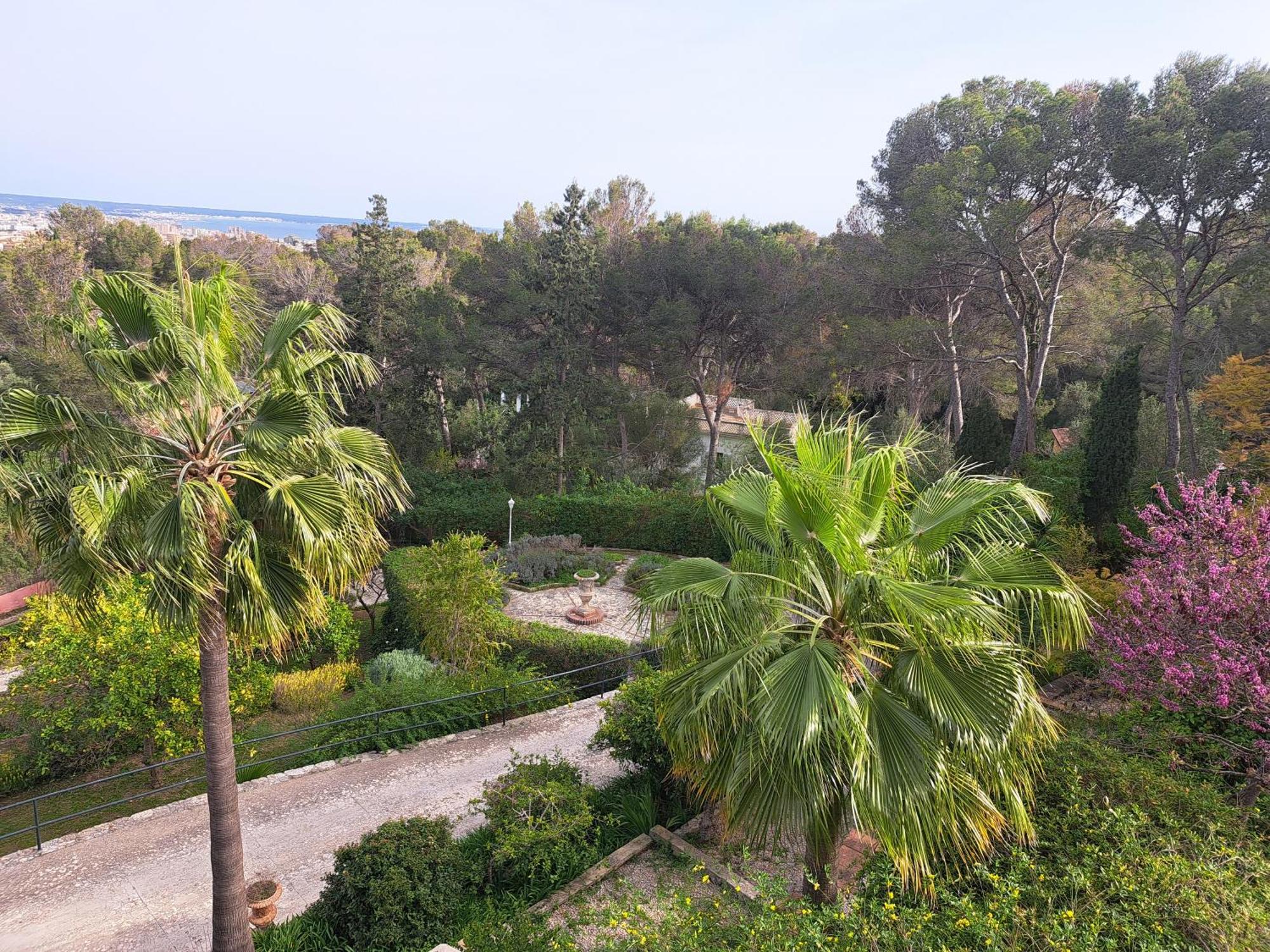 Casa De Las Vistas Palma Kültér fotó