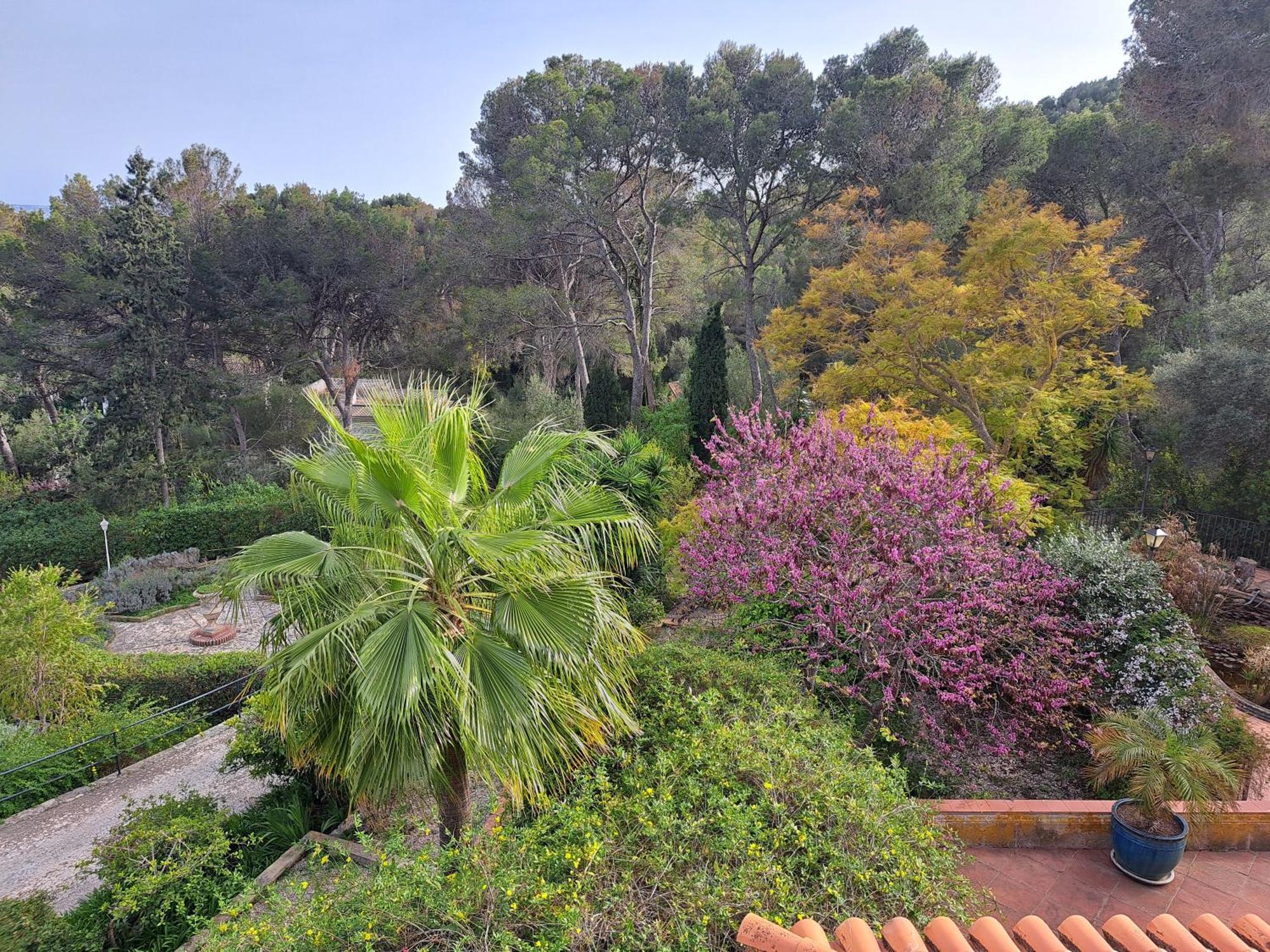 Casa De Las Vistas Palma Kültér fotó